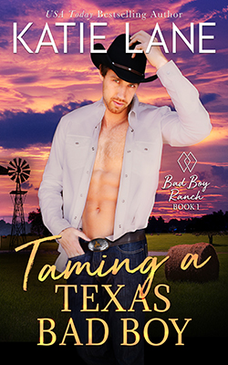 Taming a Texas Bad Boy book cover image